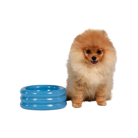 CIOTOLA PETS REVOLUTIONS DOGGYMOOD SE0102DM SELETTI