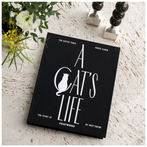 ALBUM FOTO A CAT'S LIFE PRINTWORKS BLACK