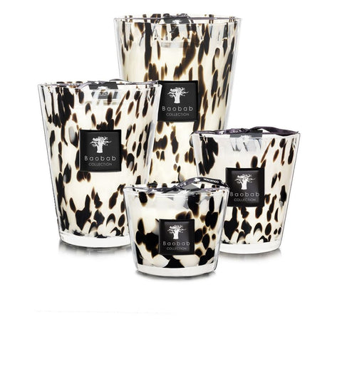 CANDELA BAOBAB MAX 24 BLACK PEARLS ART. MAX24PB