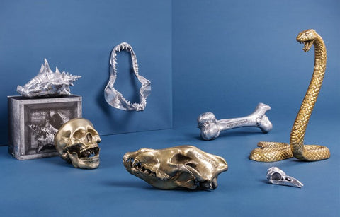 SELETTI WUNDERKAMMER HUMAN SKULL 10891