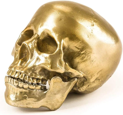 SELETTI WUNDERKAMMER HUMAN SKULL 10891