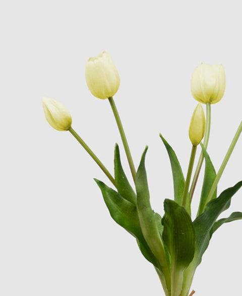 MAZZO DI TULIPANI PROFUMATI WHITE NODITO