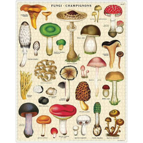 VINTAGE PUZZLE 1000 TEILE 55X70 PILZE PZL/MUSH CAVALLINI & CO MEHRFARBIG