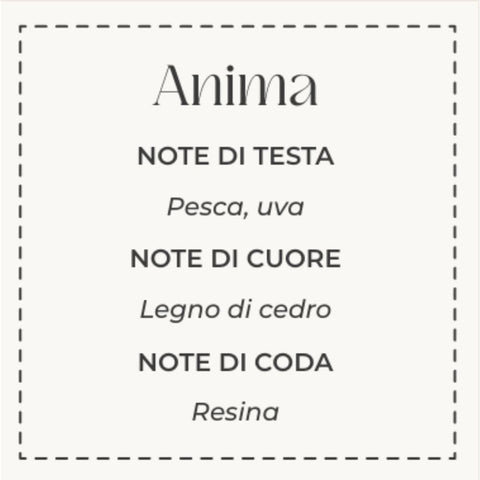 REFILL PROFUMATORE 250 ML ANIMA CHIARA X VESTA MULTICOLOR