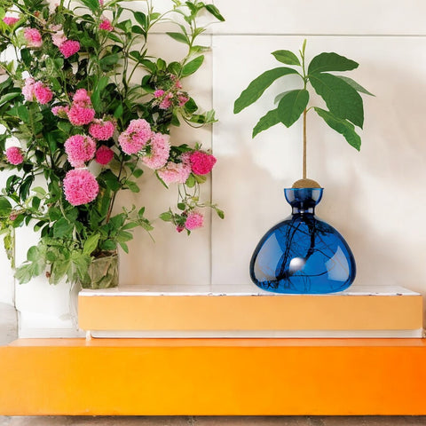 VASO AVOCADO LAPIS BLUE ART. 003-6 ILEX STUDIO