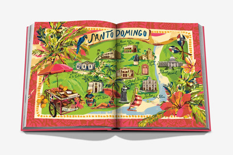 BUCHEN SIE SANTO DOMINGO ASSOULINE PINK