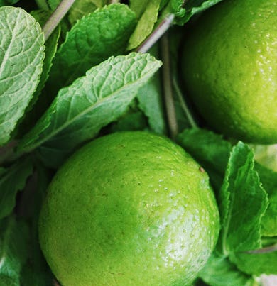 CANDELA GINGER LIME 3 KG PERLA 2.0 DR. VRANJES