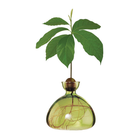 ILEX STUDIO VASI AVOCADO GRASS GREEN ART. 003-9