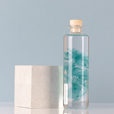 HERBARIUM H 21 CM HORTENSIA BLU CYLINDER THEOPHILE BERTON BLUE