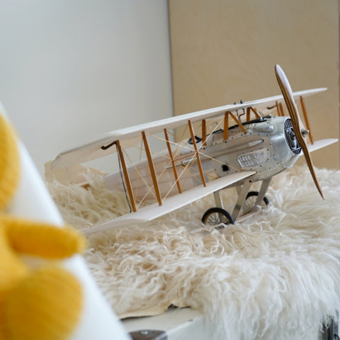 MODELLE SPAD TRANSPARENT AP413T AUTHENTISCHE MODELLE
