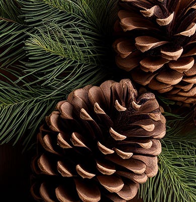 DR. VRANJES RAUMDUFT 250 ML WEIHNACHTSBAUM