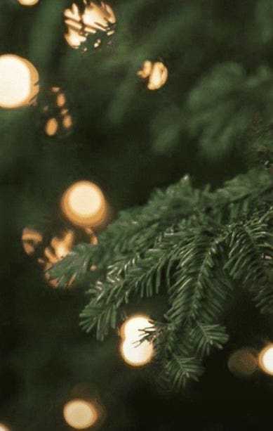 DR. VRANJES RAUMDUFT 250 ML WEIHNACHTSBAUM