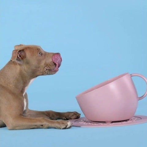UNITED PETS-SELETTI ROSA TASSE SCHÜSSEL GV0102RO20