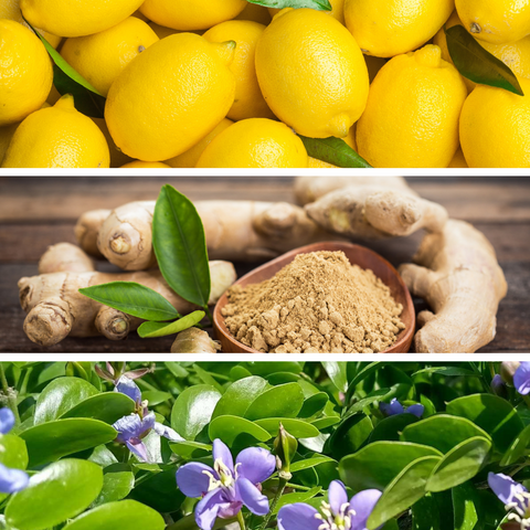 CANDELA GINGER LIME 1 KG PERLA 2.0 DR. VRANJES