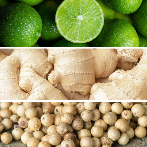 CANDELA GINGER LIME MAXI PERLA 2.0 DR. VRANJES