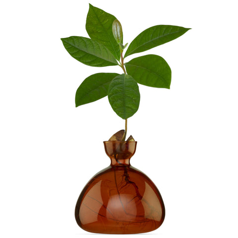 AVOCADOTÖPFE ROSTBRAUN ART. 003-8 ILEX STUDIO BRAUN