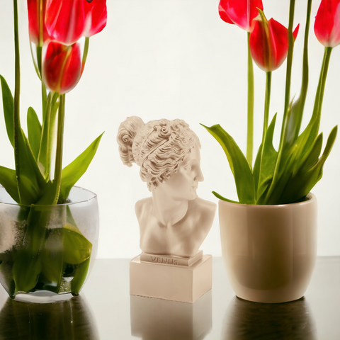 TAUPE BÜSTE VENUS 18 ART. 37487 PALAIS ROYAL