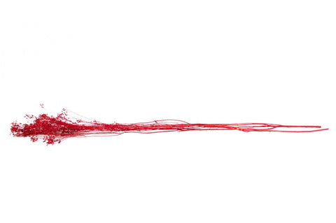 HERBARIUM H 21 CM BROOM RED CYLINDER THEOPHILE BERTON RED