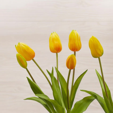 MAZZO DI TULIPANI PROFUMATI YELLOW NODITO