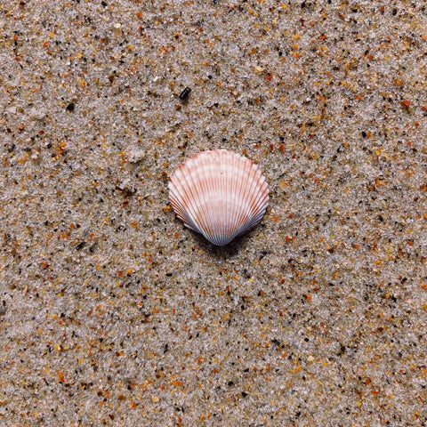 BOTTIGLIA ATLANTIS SHELL AMBRA 1,2 LT VETRO ART. 27842 BALVI