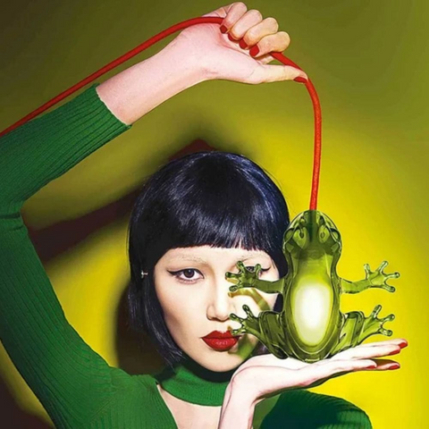 HUNGRY FROG SMARLLD QEEBOO GRÜNE LAMPE