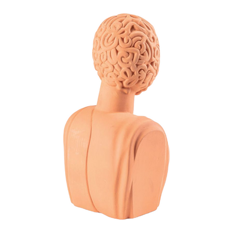 BUSTO IN TERRACOTTA MAN SELETTI CM 24X20 H 45 ART 11512