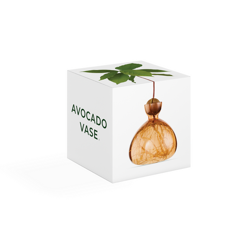 TÖPFE AVOCADO SÜSSE APRIKOSE ART. 003-11 ILEX STUDIO ORANGE