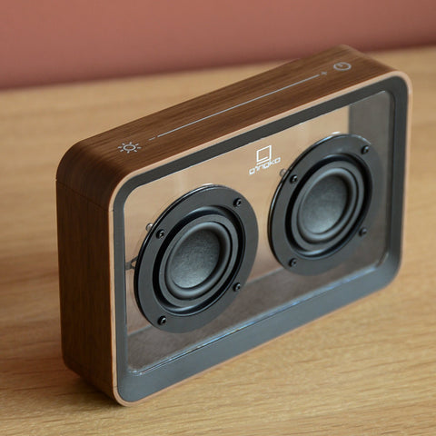 MAGE SEE-THROUGH SPEAKER WALNUT GINGKO