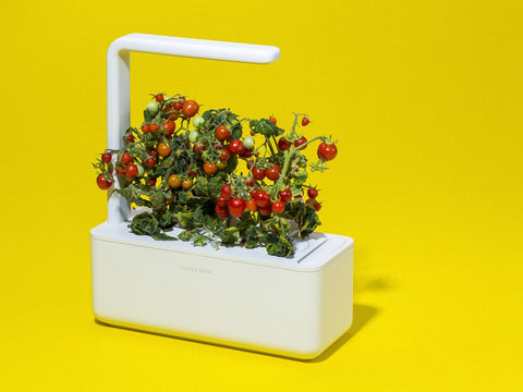 CLICK & GROW SMART GARDEN 3 WHITE