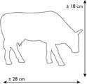 KUHPARADIE L COWPERNICUS ART. 46733