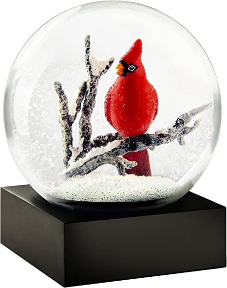 "COOL SNOW GLOBES CS216-CARS"