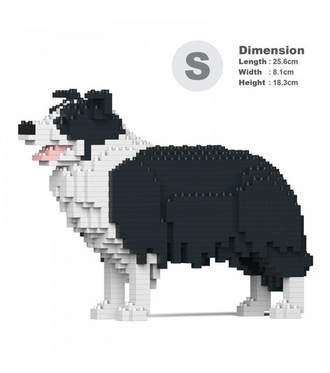 JEKCA BORDER COLLIE 01S-M01