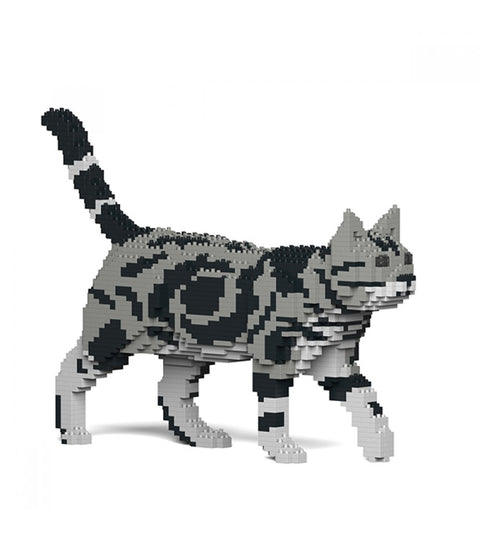 JEKCA AMERICAN SHORTHAIR CAT ART 02S-M01