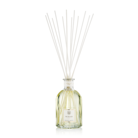 DR. VRANJES GLAS 5000 ML GINGER-LIMETTE