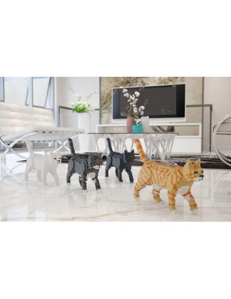 JEKCA AMERICAN SHORTHAIR CAT ART 02S-M01