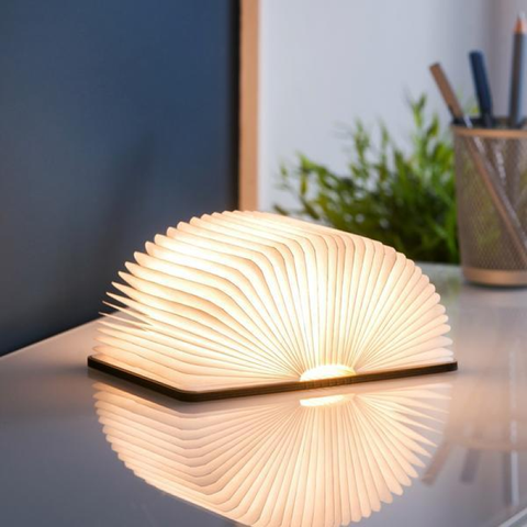 SMART BOOK LIGHT STANDARD MAPLE BROWN