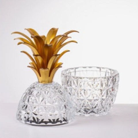 MELISSA ANANAS VASE GOLDBLATT MARIO LUCA GIUSTI TRANSPARENT