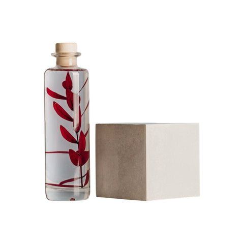 HERBARIUM H 21 CM EUCALYPTUS PARVIFOLIA RED CYLINDER THEOPHILE BERTHON RED