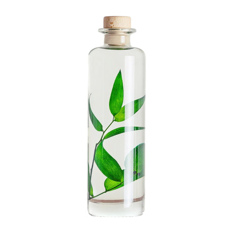 HERBARIUM H 21 CM RUSCUS GREEN CYLINDER THEOPHILE BERTON GREEN