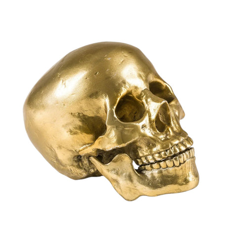 SELETTI WUNDERKAMMER HUMAN SKULL 10891