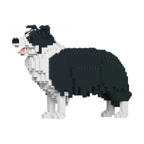 COSTRUZIONI BORDER COLLIE 01S-M01 JEKCA