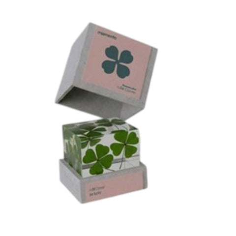 FLOWERCUBE N. 04 CLOVER ART. M01-CLO MOMENTO