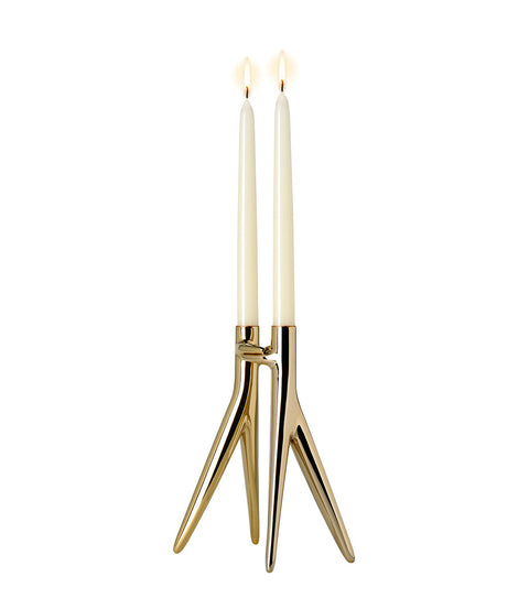 KARTELL CANDLE HOLDER HUG GOLD 1956/GG