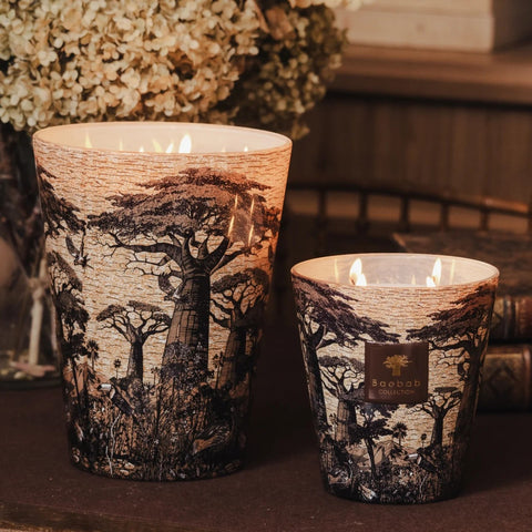 CANDELA BAOBAB MAX 24 SACRED TREES MANKONO MAX24STMAN