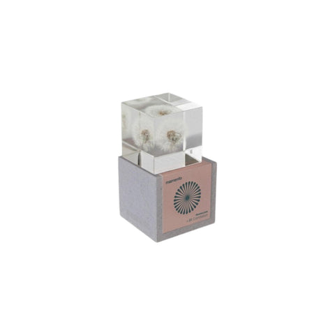 FLOWERCUBE N. 01 DANDELION ART. M01-DAN MOMENTO