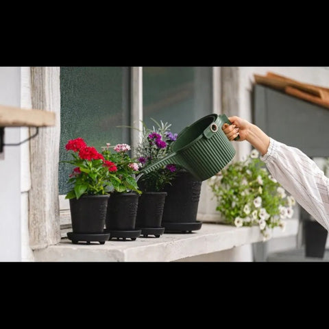 INNAFFIATOIO 1.5L WATERING CAN ART. 247579 RED GARDEN BEETLE HACHIMAN