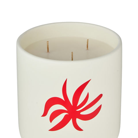 CANDELA IBIZA BOHEMIA TRAVEL FROM HOME XL SCENTED ASSOULINE
