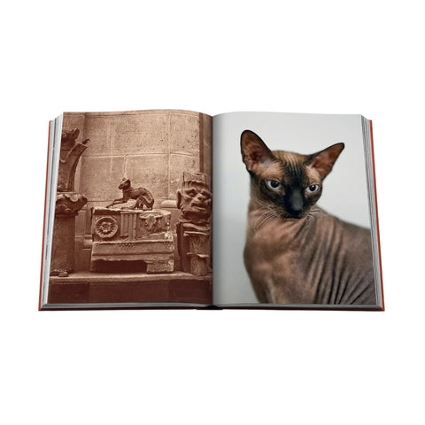 LIBRO CHIC CATS ASSOULINE