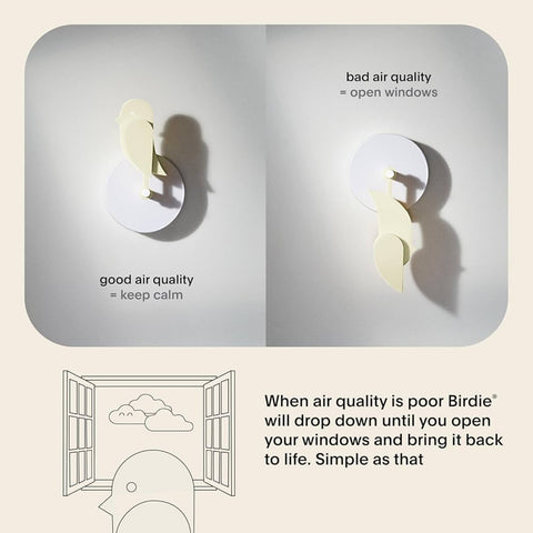 MISURATORE QUALITÀ DELL'ARIA 2.0 FRESH AIR MONITOR BI-M-B-2 DUNE BIRDIE
