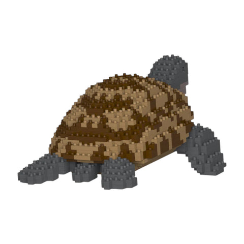 COSTRUZIONI GREEK TORTOISE ST19TTE02 JEKCA
